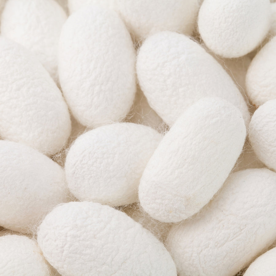 Silk Protein