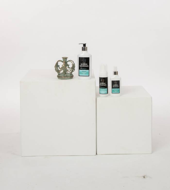 Barkin & Meowson pet bath spray, no rinse dog shampoo, and grooming products displayed on white pedestals.