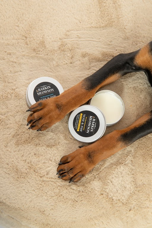 Dog paws resting on a soft rug beside open Barkin & Meowson paw and nose balm tins.