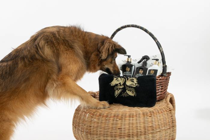 Dog sniffing a basket of Barkin & Meowson high quality pet products and grooming essentials.