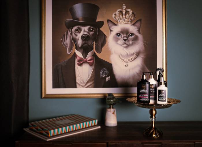 portrait of a royale dog and cat with a tray of pet care products