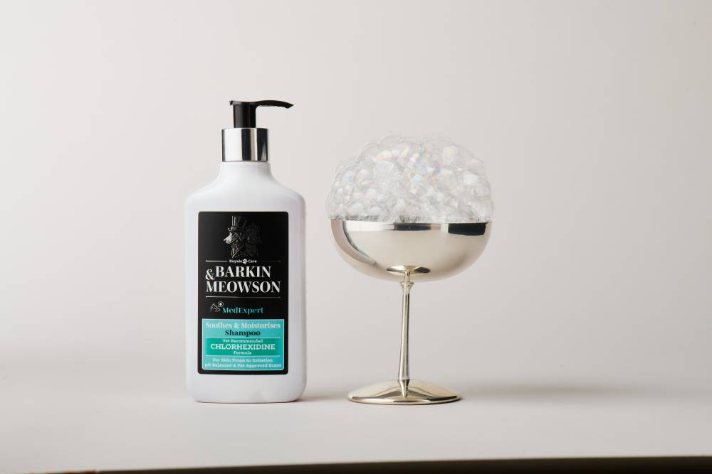 pet shampoo next to a coupe glass