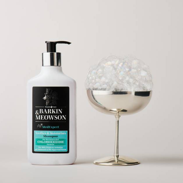 shampoo bottle next to a coupe glass