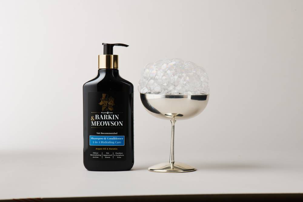 shampoo and conditioner bottle next to bubbles in a coupe glass