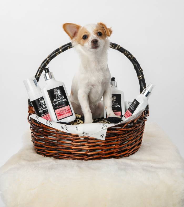 Small dog sitting in a basket surrounded by Barkin & Meowson grooming products.